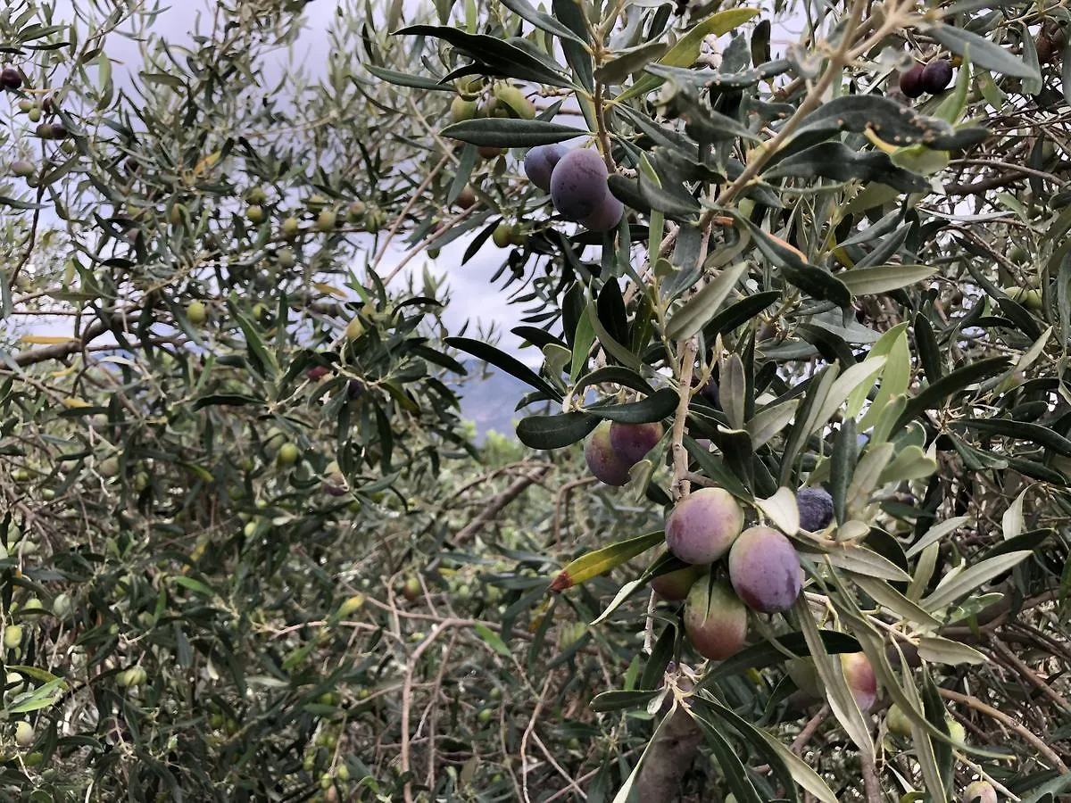 Agriturismo Su Bistentu Villa Iglesias 0*,  Italië